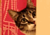 :oh_hai.gif: