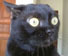 :chathorreur: